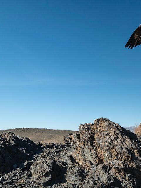 Mongolia – Untouched Beauty and Golden Eagles